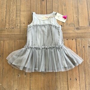 Joyfolie metallic silver tulle dress nwt